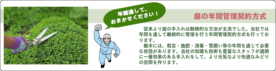 庭の年間管理契約方式　従来より庭の手入れは断続的な方法が主流でした。当社では年間を通して継続的に管理を行う年間管理契約方式を行っております。 　樹木には、剪定・施肥・消毒・雪囲い等の年間を通じて必要な世話があります。当社の知識も技術も豊富なスタッフが適期に一番効果のある手入れをして、より元気なより快適なみどりの空間を作ります。